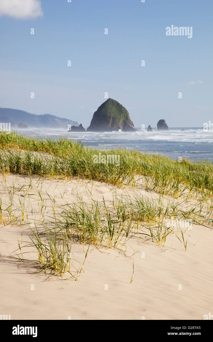 ODER, Küste von Oregon, Cannon Beach und Haystack Rock Stockfoto