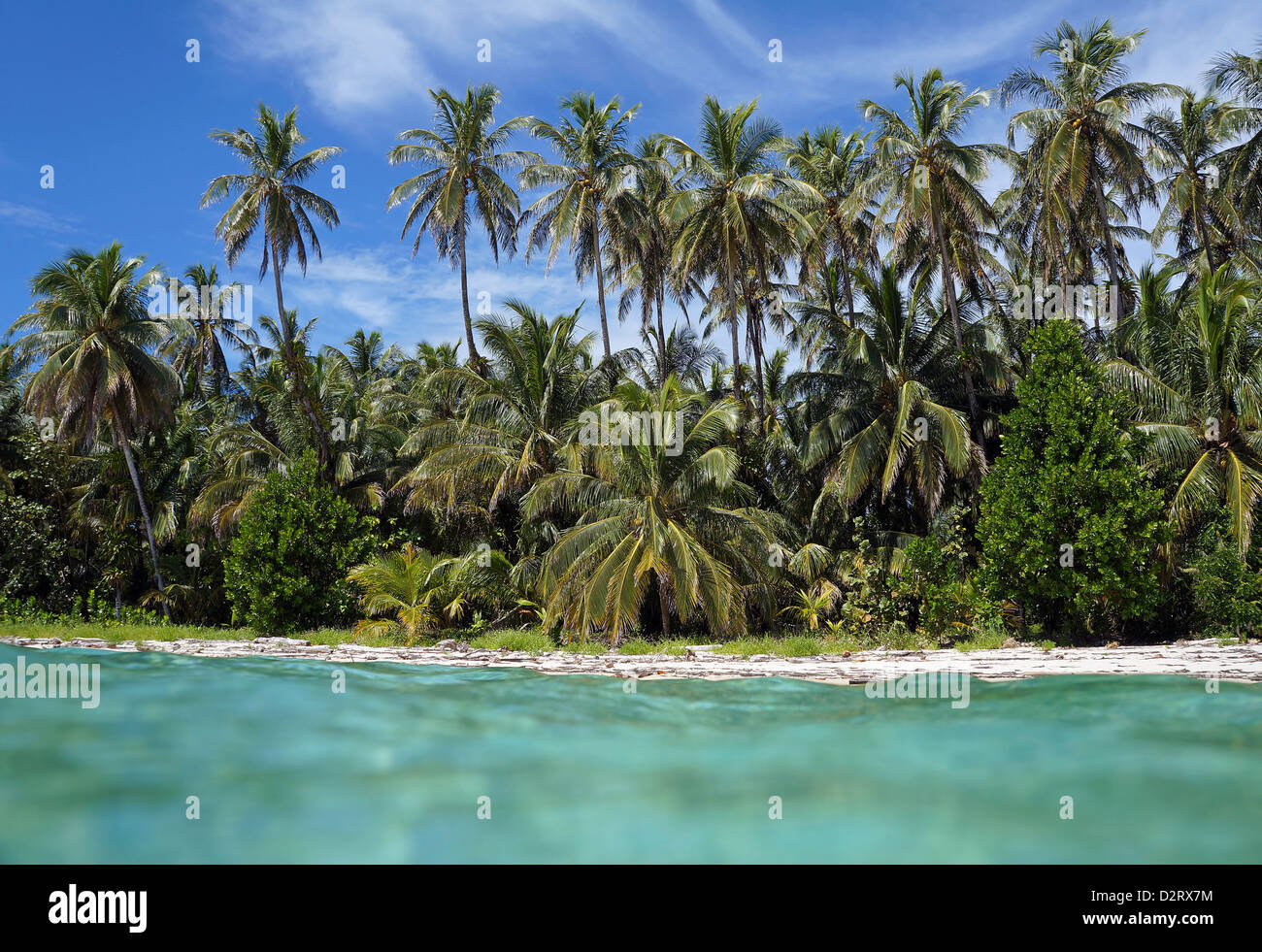 Wild tropischen Strand Ufer mit Kokosnuss Palmen aus Wasser Oberfläche gesehen, dem Karibischen Meer Stockfoto