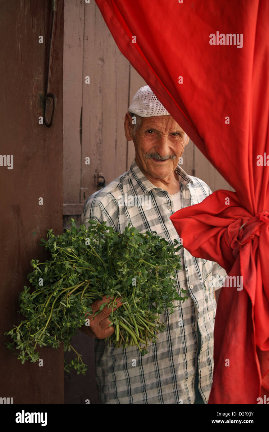 Alte Mann Gemüsehändler mit islamischen Mütze verkaufen frische grüne Kräuter im Lebensmittelmarkt in der alten Medina in Fes, Marokko Stockfoto