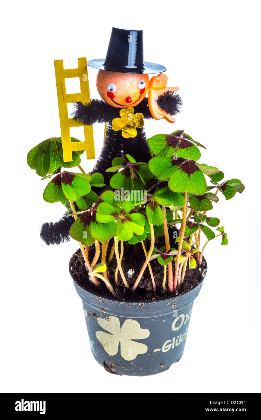 Shamrock Busch, Pflanze in einen Topf geben, mit einer Schornstein-Kehrmaschine-Figur. Glücksbringer-Symbol an Neujahr. Stockfoto