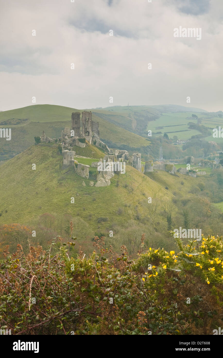 Die Ruinen von Corfe Castle, Dorset, England, Vereinigtes Königreich, Europa Stockfoto