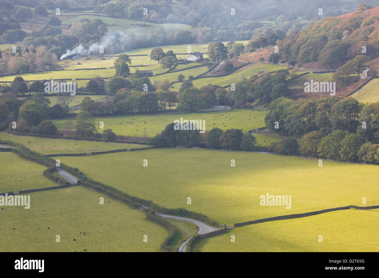 Auf der Suche über die Patchwork-Felder von Eskdale im Lake District National Park, Cumbria, England, Vereinigtes Königreich, Europa Stockfoto