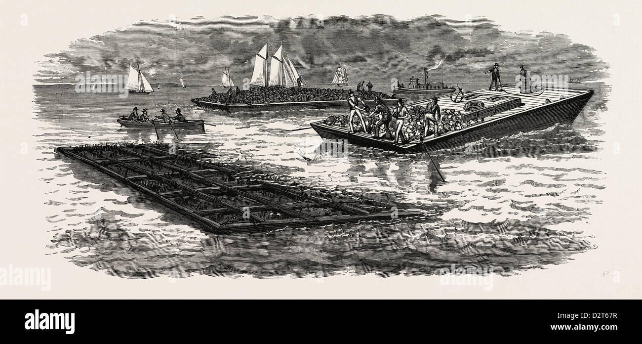 SOUTH CAROLINA: Der Süden IN 1880: Bau der Stege für die Verbesserung der Hafen von CHARLESTON, USA, Gravur 1880 1881 Stockfoto