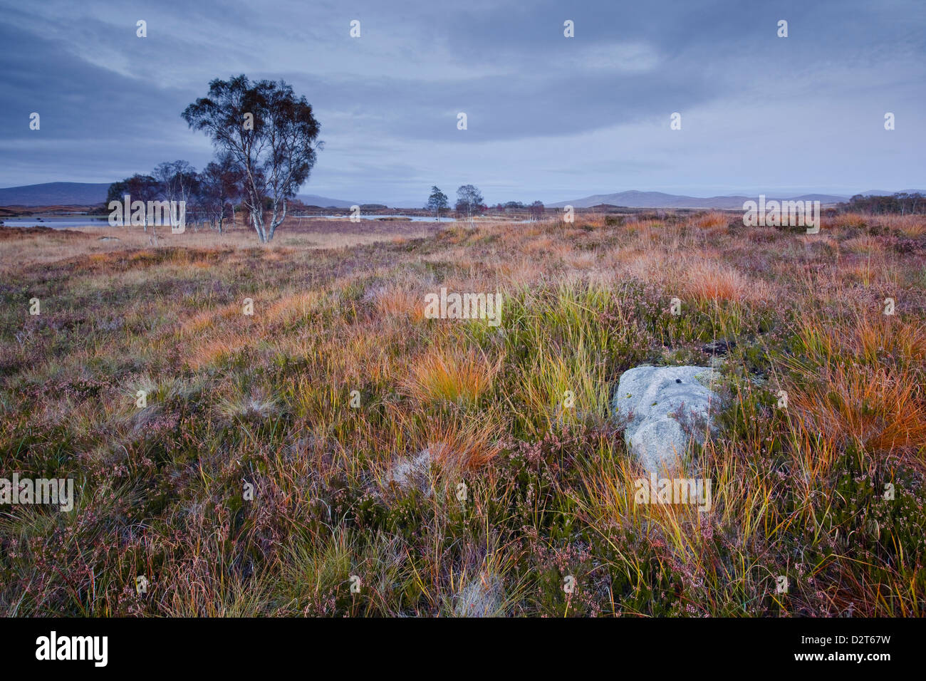 Die Fläche von Rannoch Moor, eine Site of Special Scientific Interest, Highlands, Schottland, Vereinigtes Königreich, Europa Stockfoto