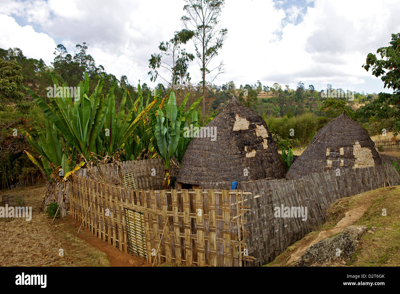 Urige Hütten, Omo Region, Chencha, Dorze, Äthiopien, Afrika Stockfoto