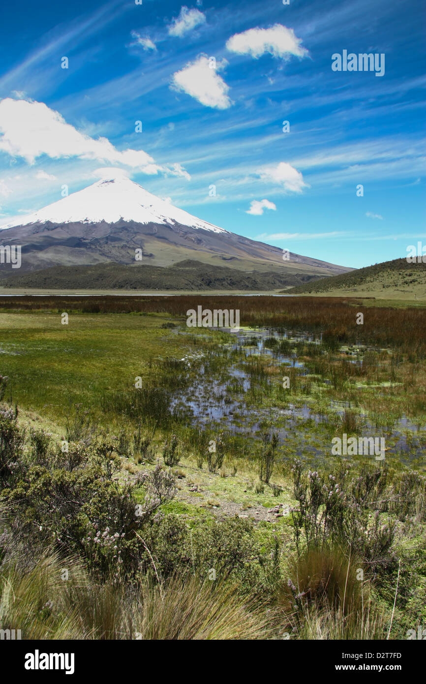 Der Cotopaxi Vulkan mit einem klaren, blauen Himmel, Ecuador. Stockfoto