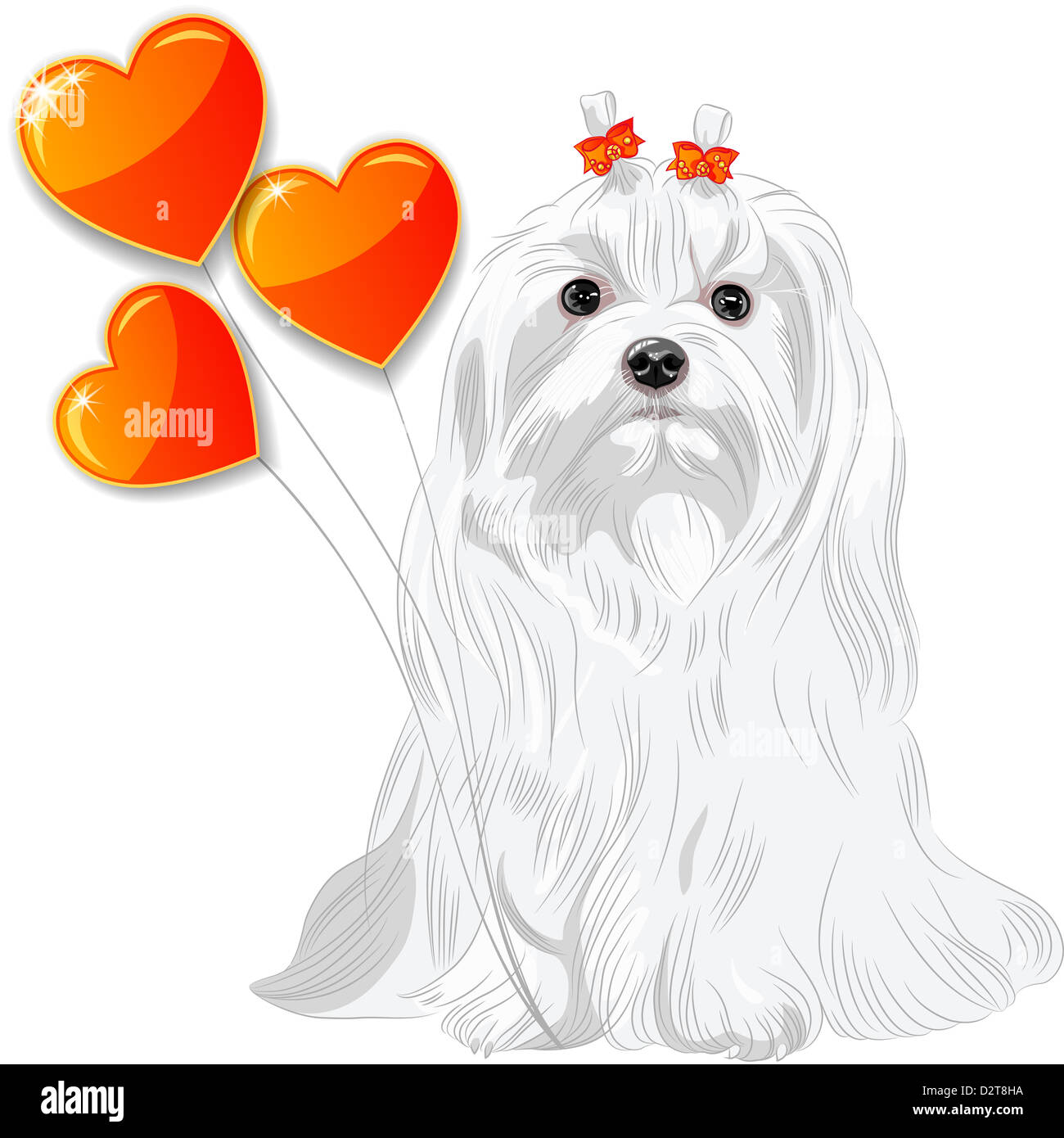 Vektor-Valentine-Karte mit einem lustigen Hunderasse Malteser und roten Herzen Stockfoto