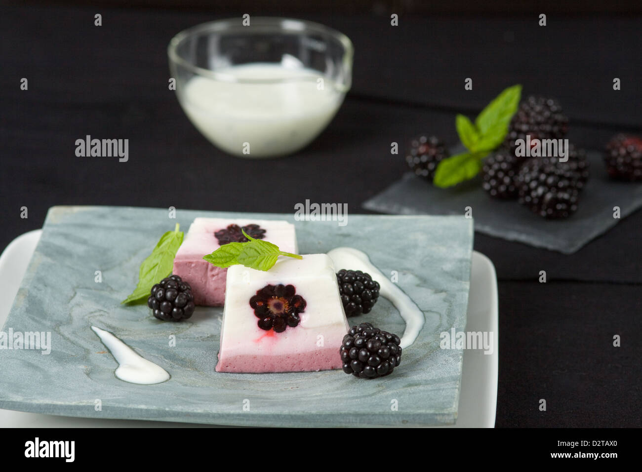 Joghurt terrine -Fotos und -Bildmaterial in hoher Auflösung – Alamy