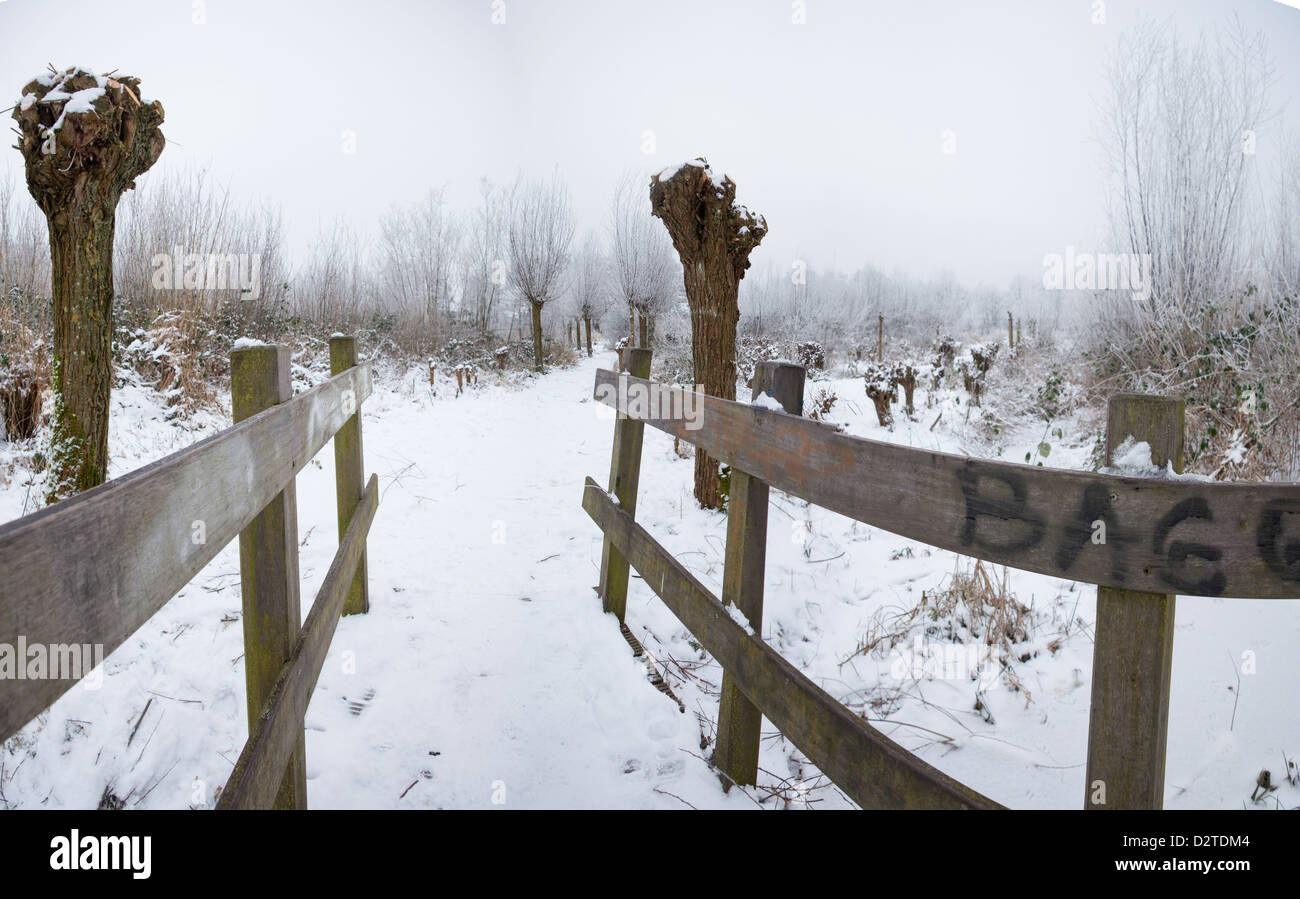 Winter-Wunderland Stockfoto