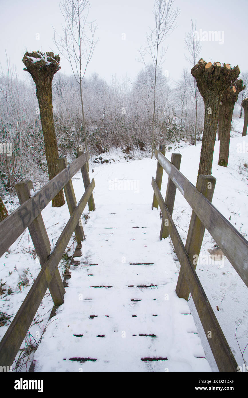 Winter-Wunderland Stockfoto