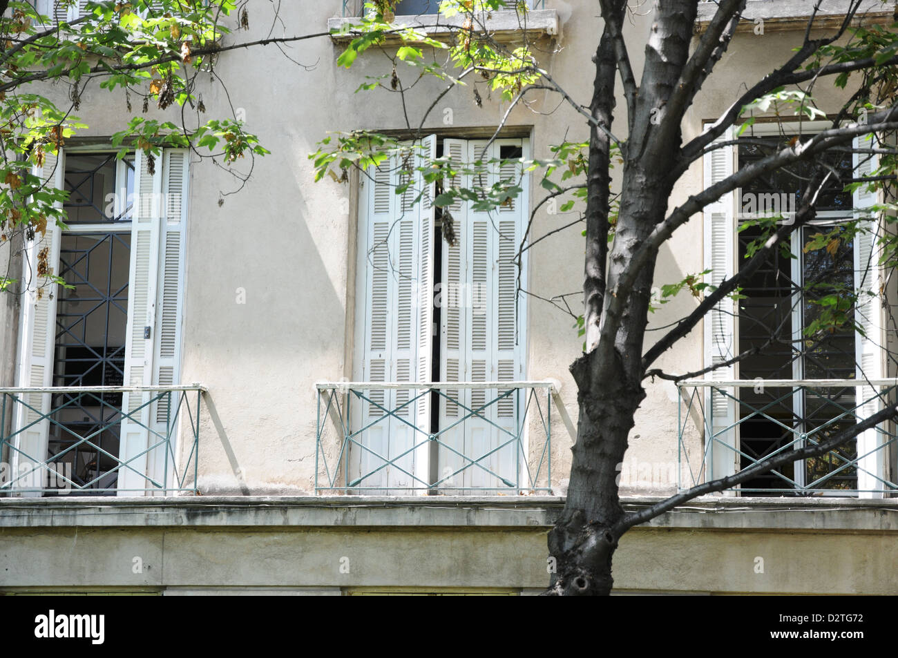 lange Fensterläden georgianische Fenster, hinter Bäumen, Balkon, Santiago. Stockfoto