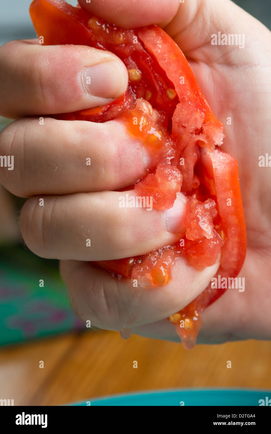 Tomaten in den Fingern zerquetscht Stockfoto
