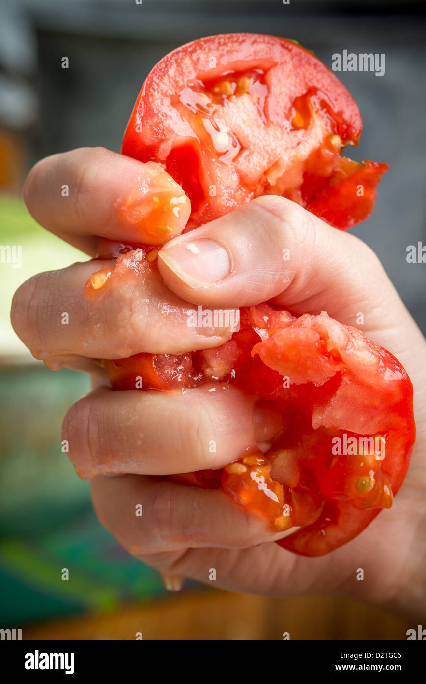 Tomaten in den Fingern zerquetscht Stockfoto