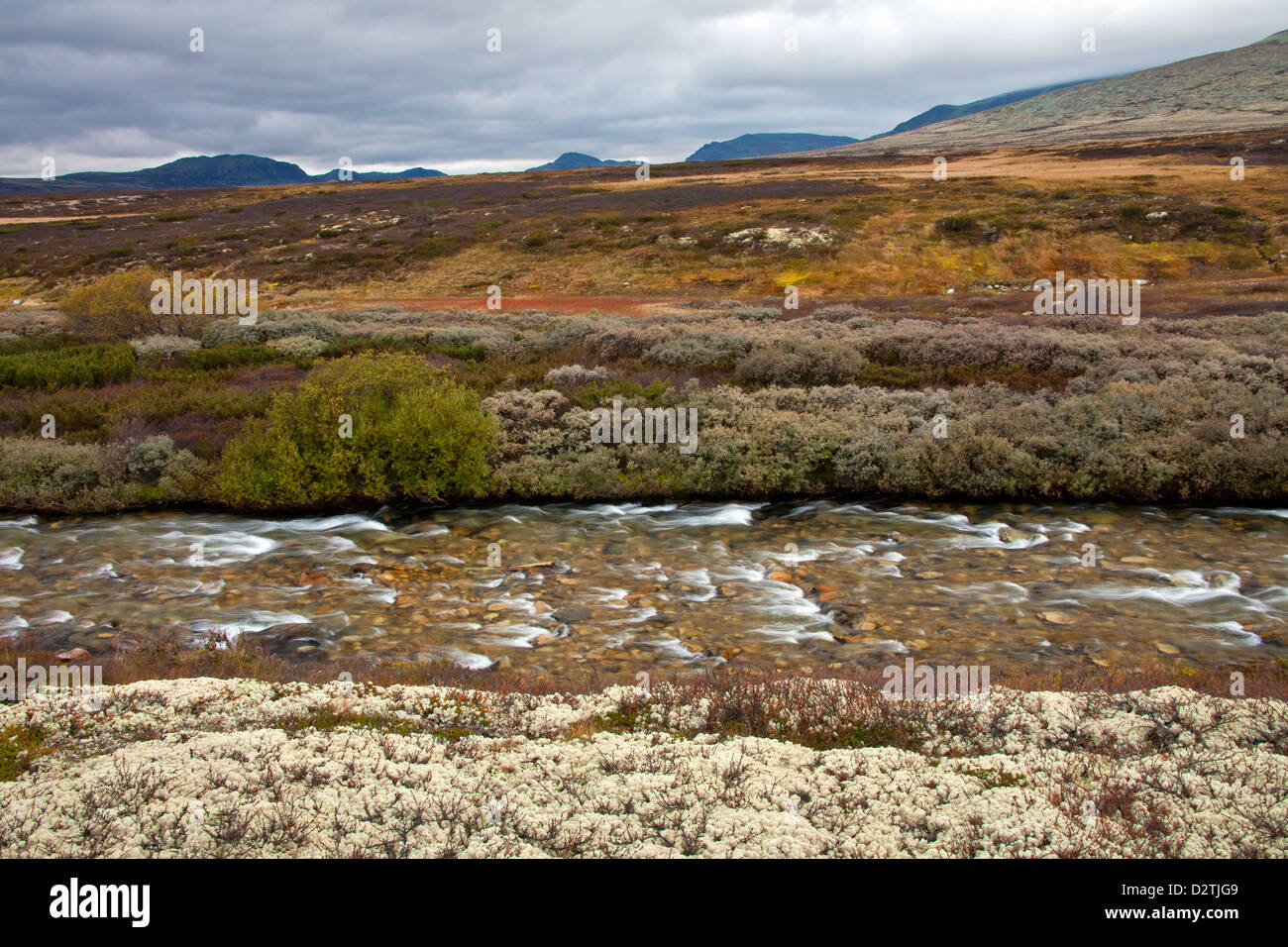 Store-Ula-Fluss im Rondane Nationalpark, Dovre, Norwegen Stockfoto