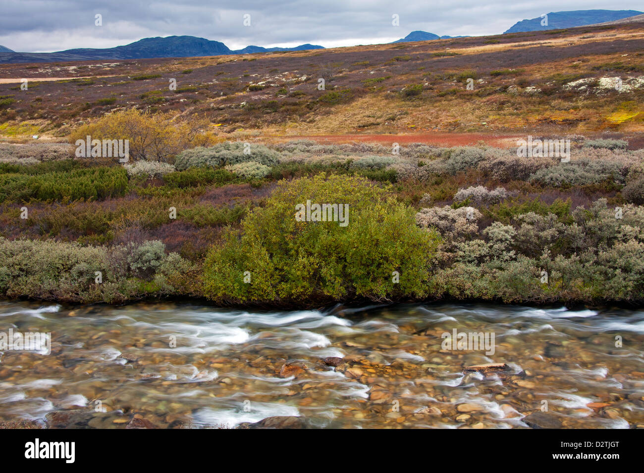 Store-Ula-Fluss im Rondane Nationalpark, Dovre, Norwegen Stockfoto