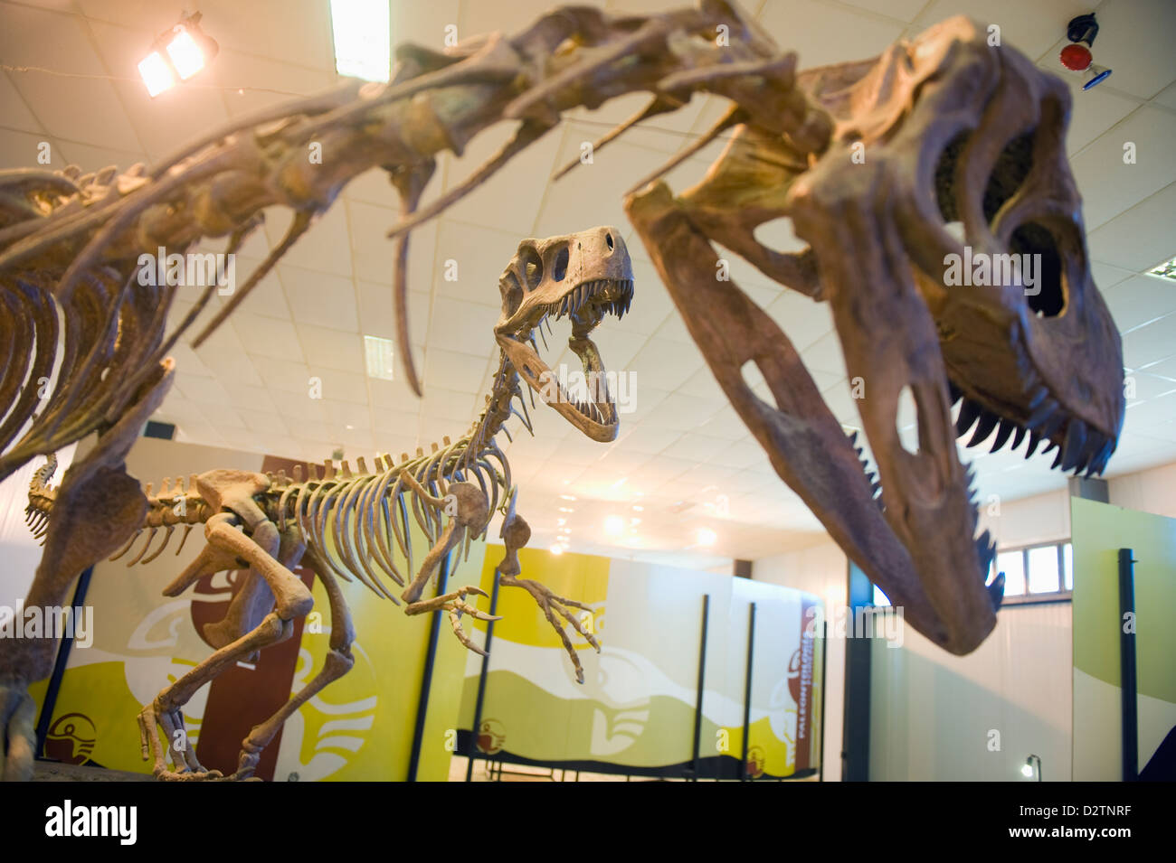 Dinosaurier-Museum, Parque Provincial Ischigualasto, Argentinien, Südamerika Stockfoto