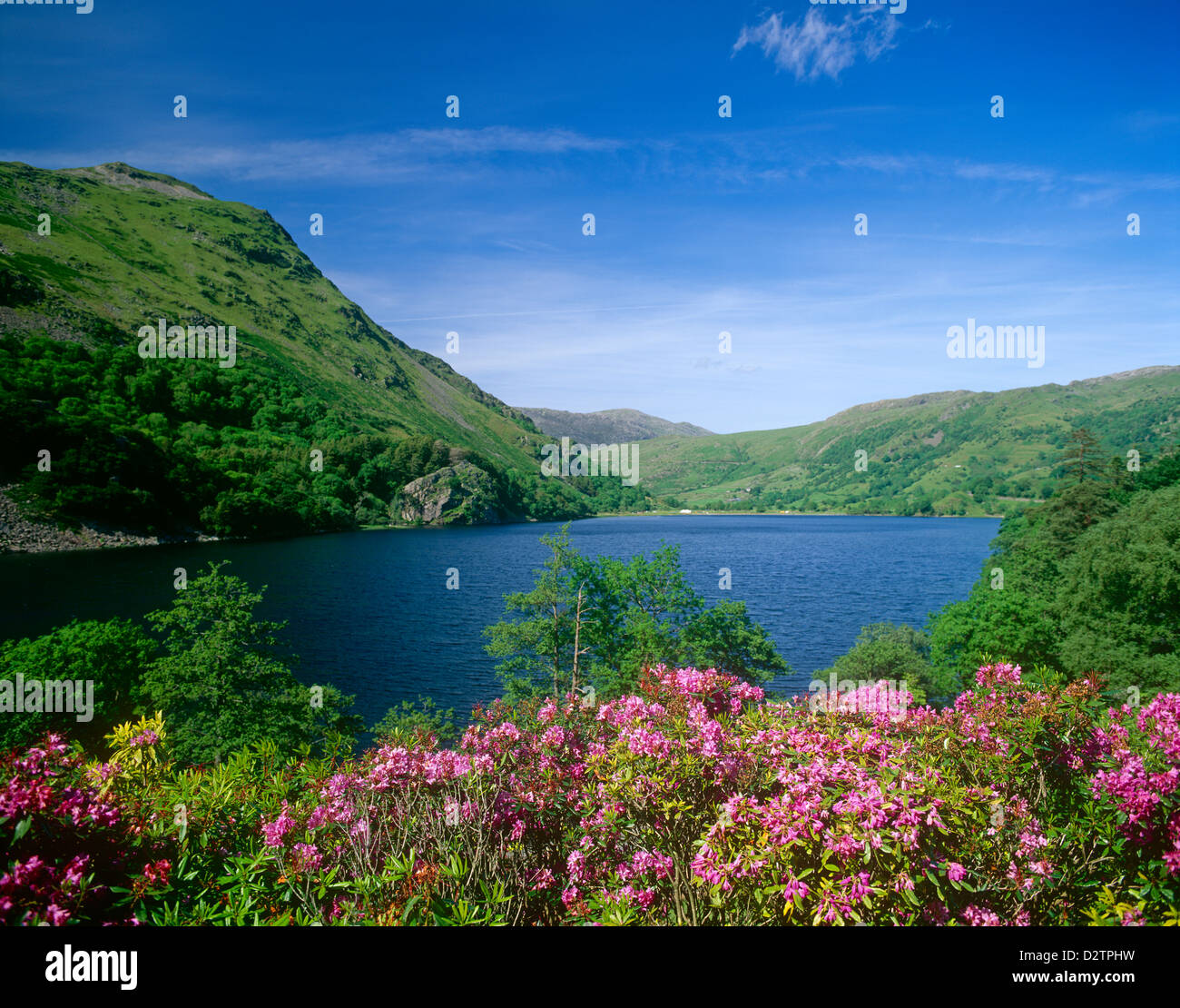 Typische Snowdonian Landschaft, in der Nähe von Betwa-y-Coed, Gwynedd, Wales Stockfoto
