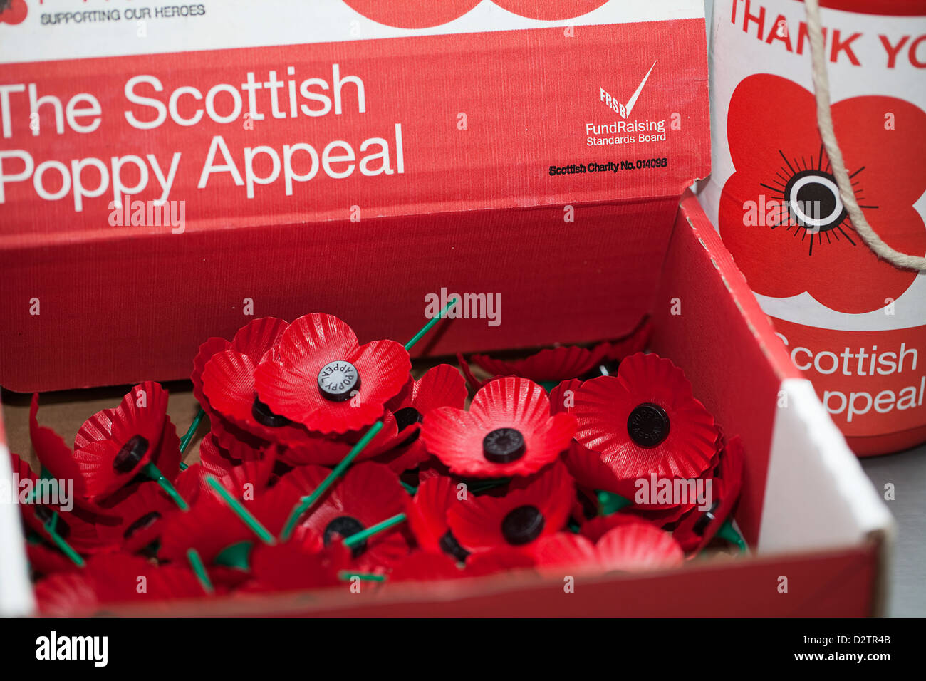 Remembrance Day Mohn zum Verkauf zugunsten der schottischen Poppy Appell Stockfoto