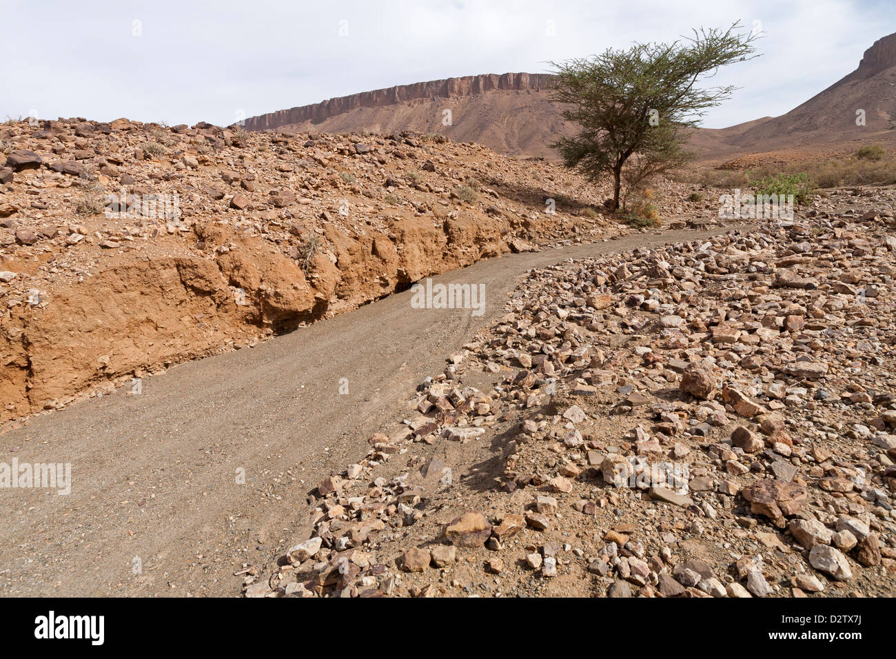 Fahrt entlang der felsigen Wadi Bett mit Anzeichen von starken Regenfällen in Zagora Provinz, Anti Atas Berge Marokko, Nordafrika Stockfoto