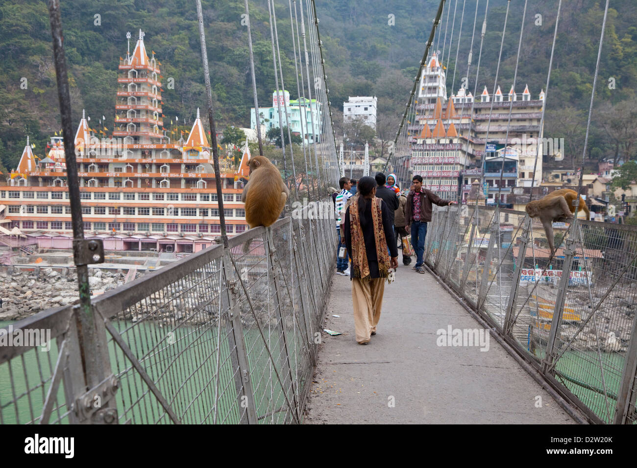 Indien, Rishikesh. Paviane häufig die Fußgängerbrücke über den Ganges zu Tera Manzil hinduistischer Tempel, links. Stockfoto