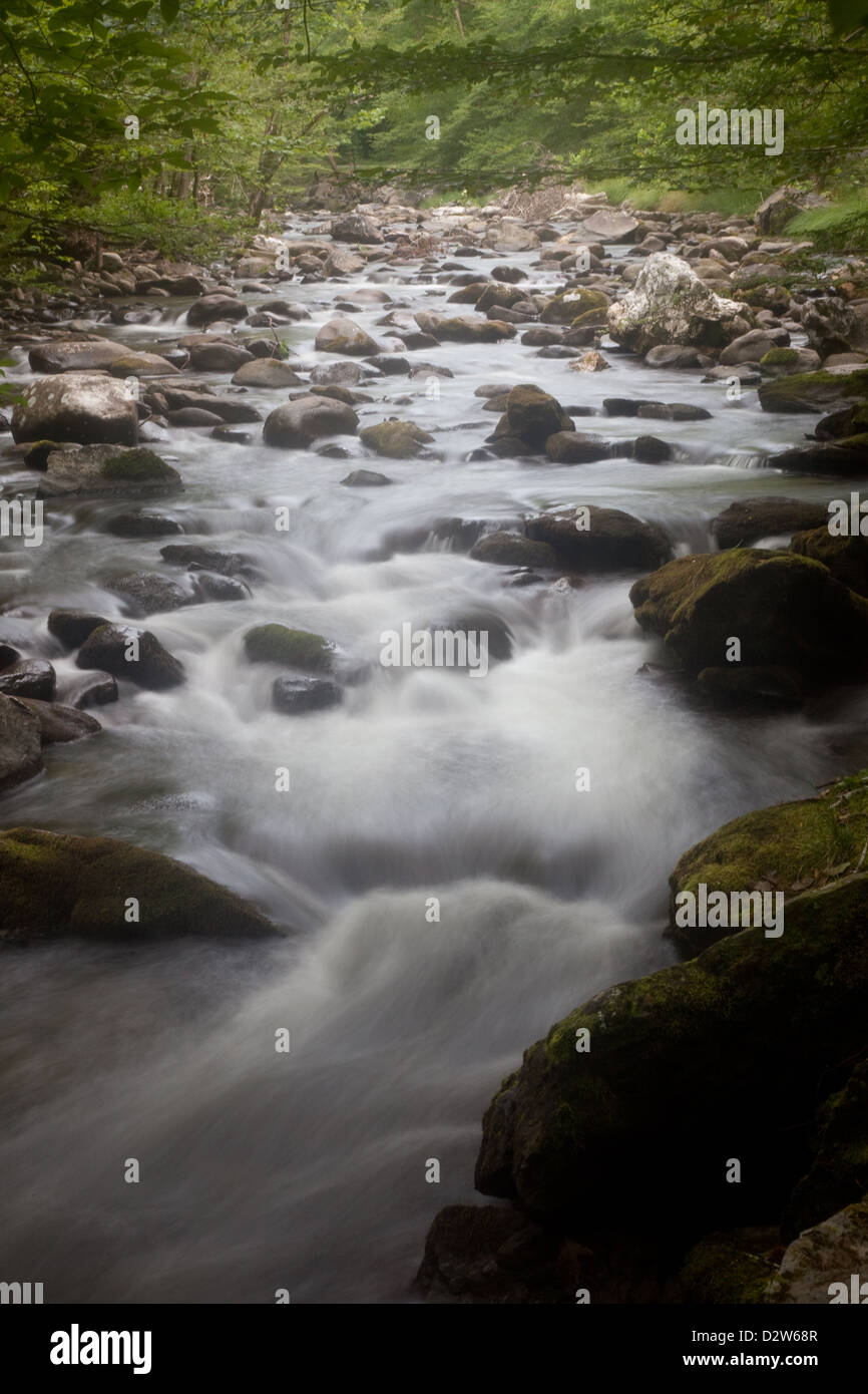 Gebirgsbach abstürzende Berghang, vorbei an Moos bedeckt Felsen, Sträuchern und Bäumen an beiden Ufern Stockfoto