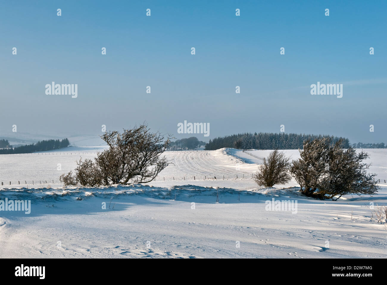 Der Offa's Dyke Fernwanderweg im Winter, wo er über Hawthorn Hill, in der Nähe von Knighton, Powys, Großbritannien, führt Stockfoto