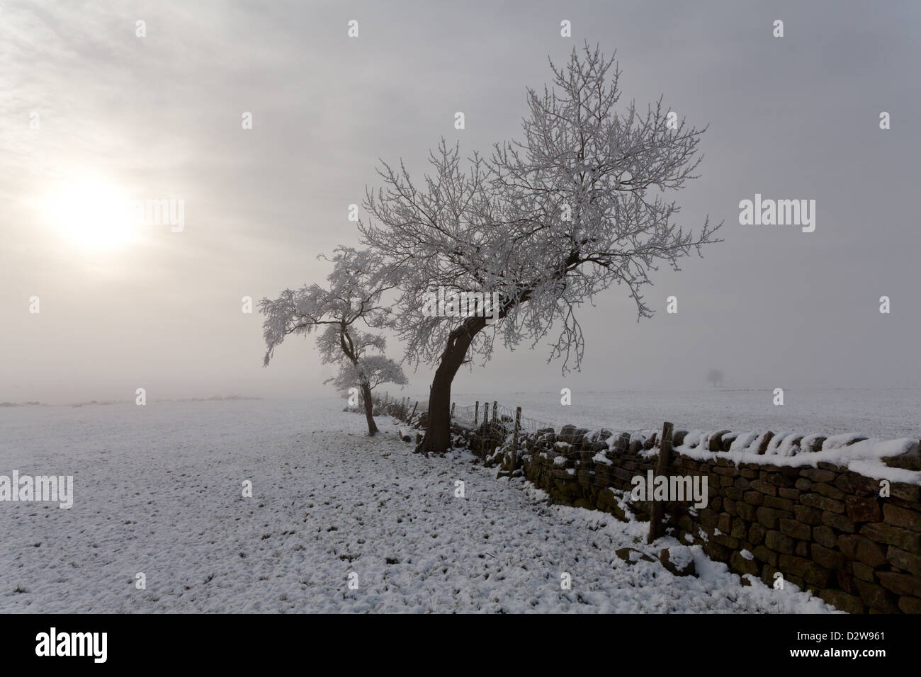 Frost fallenden Bäume eine Trockensteinmauer mit Schnee auf dem Boden driften Nebel mit Winter-Himmel. tiefstehende Sonne, Yorkshire Dales Stockfoto