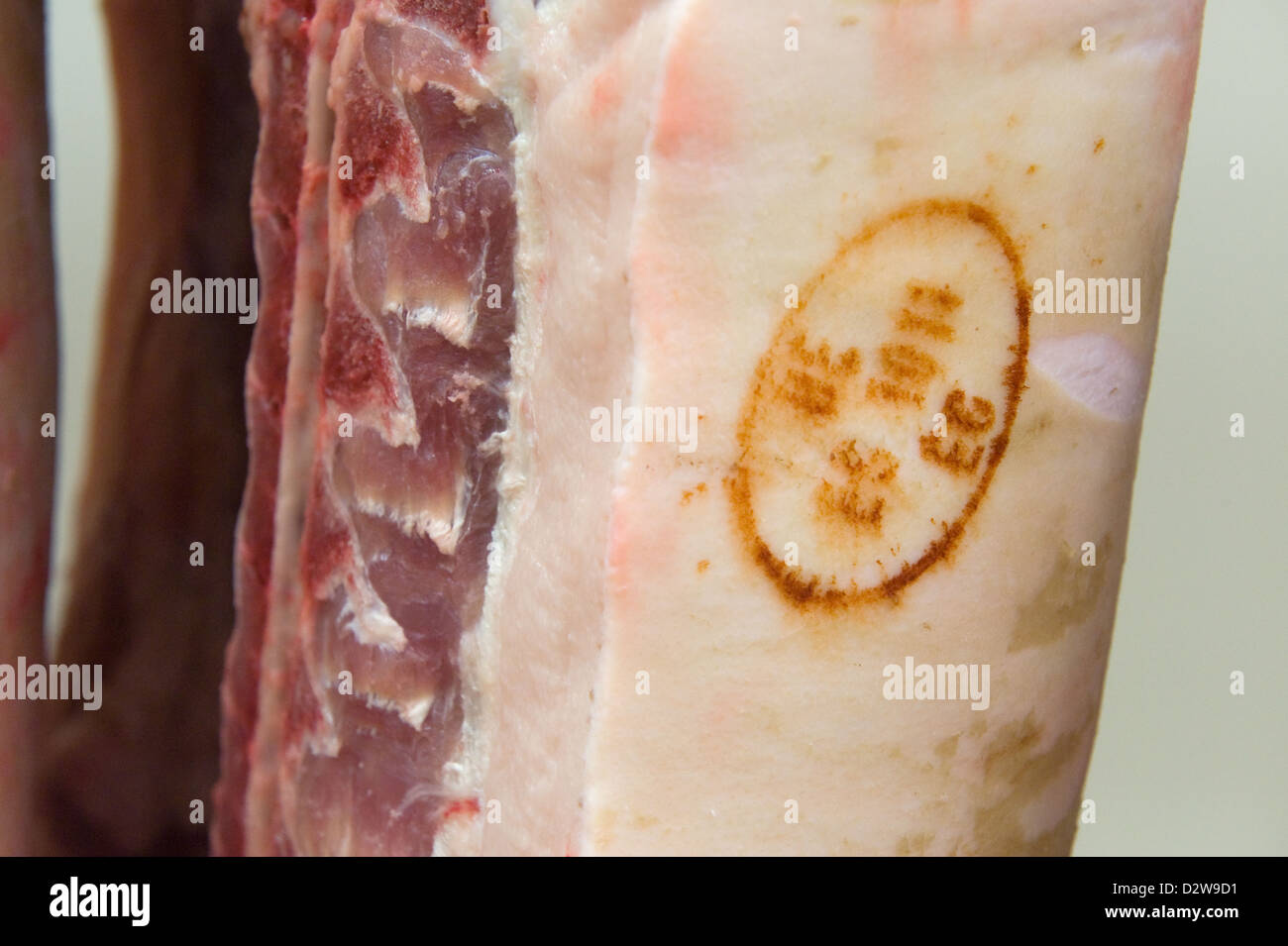 Neuruppin, Deutschland, auf eine Zertifizierung Stempel Schweinehaelfte Stockfoto