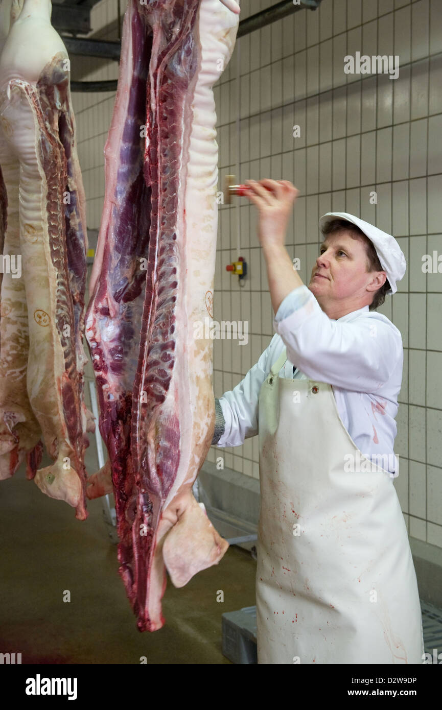 Neuruppin, Deutschland, der Schweinshaelften wurde holen einen Zertifizierung Stempel Stockfoto
