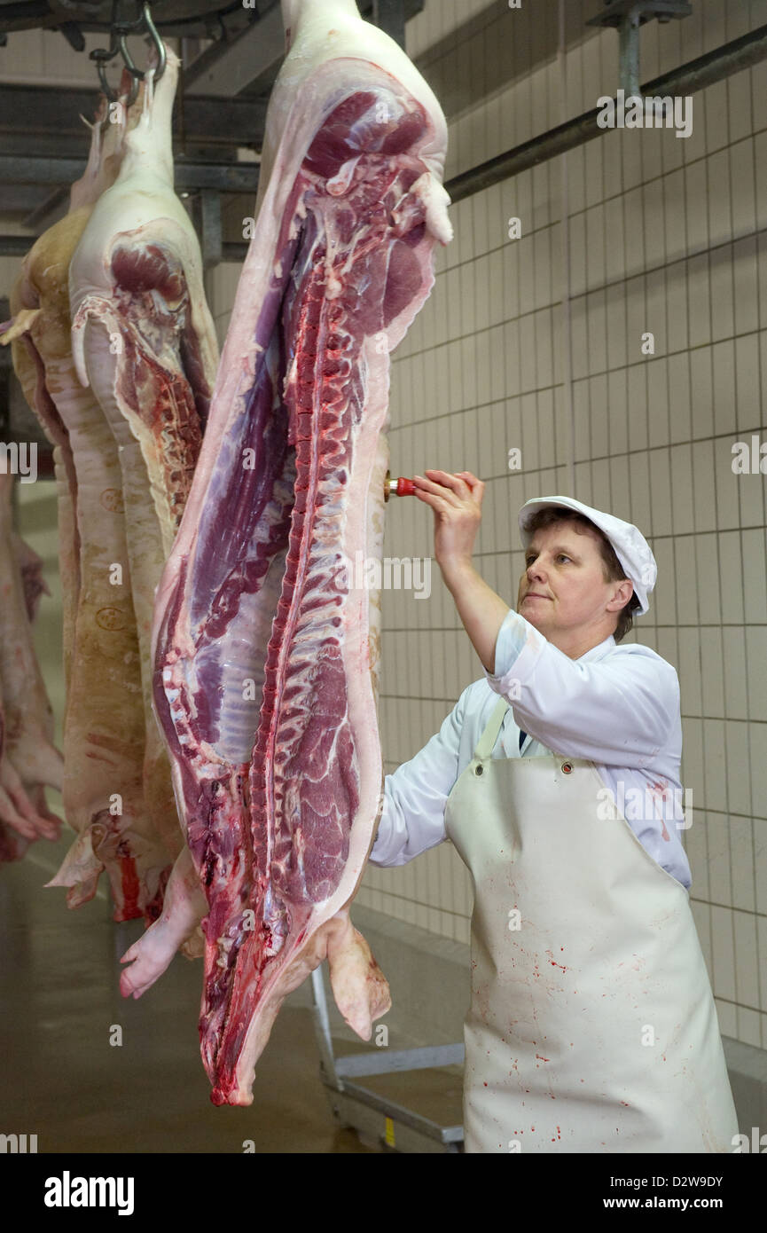 Neuruppin, Deutschland, der Schweinshaelften wurde holen einen Zertifizierung Stempel Stockfoto