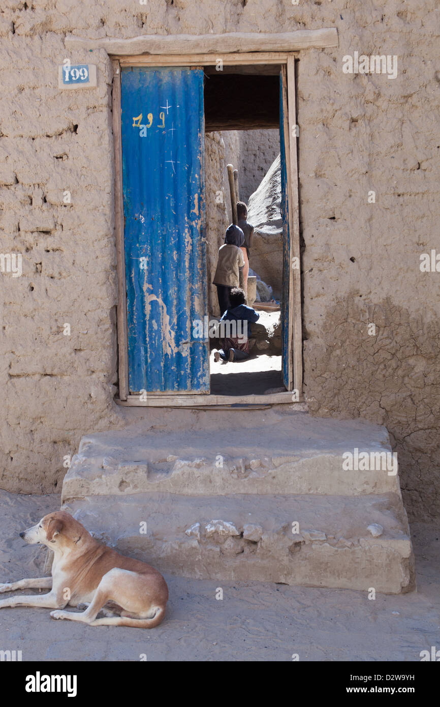 Ein Hund sitzt vor dem Eingangsbereich zu jemandes Zuhause in Timbuktu, Mali. Stockfoto