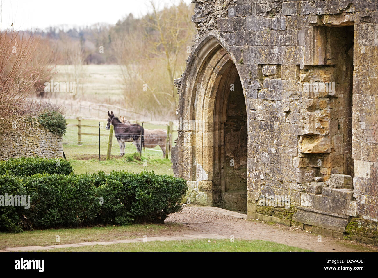 Ruinen der Minster Lovell Hall in Oxfordshire Stockfoto