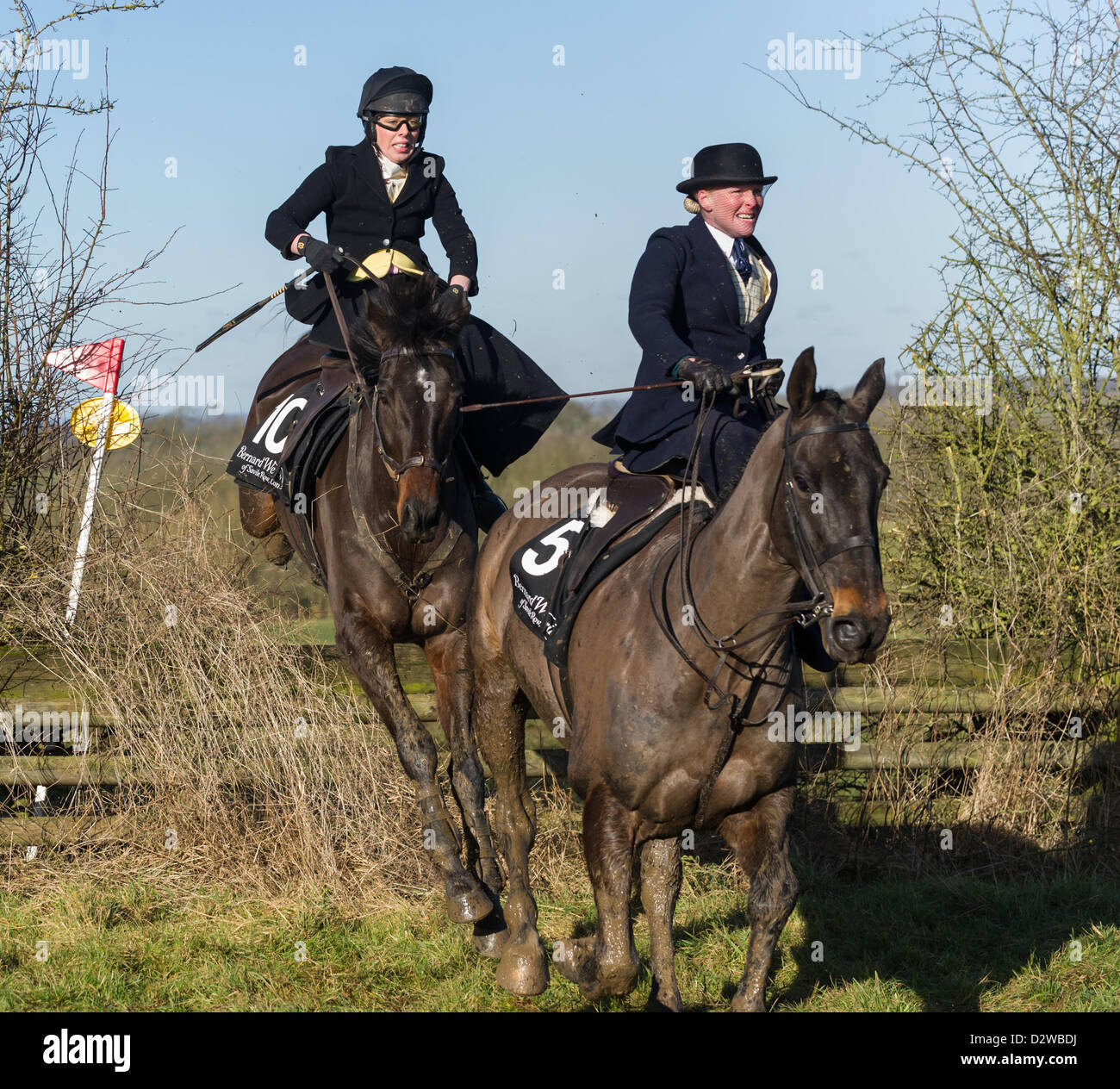 Ingarsby, Leicestershire, UK. Samstag, 2. Februar 2013. Springen Aktion während der ersten Ausführung von Bernard Weatherill Sidesaddle Chase, das erste Rennen für Sidesaddle Fahrer seit 1921. Stockfoto