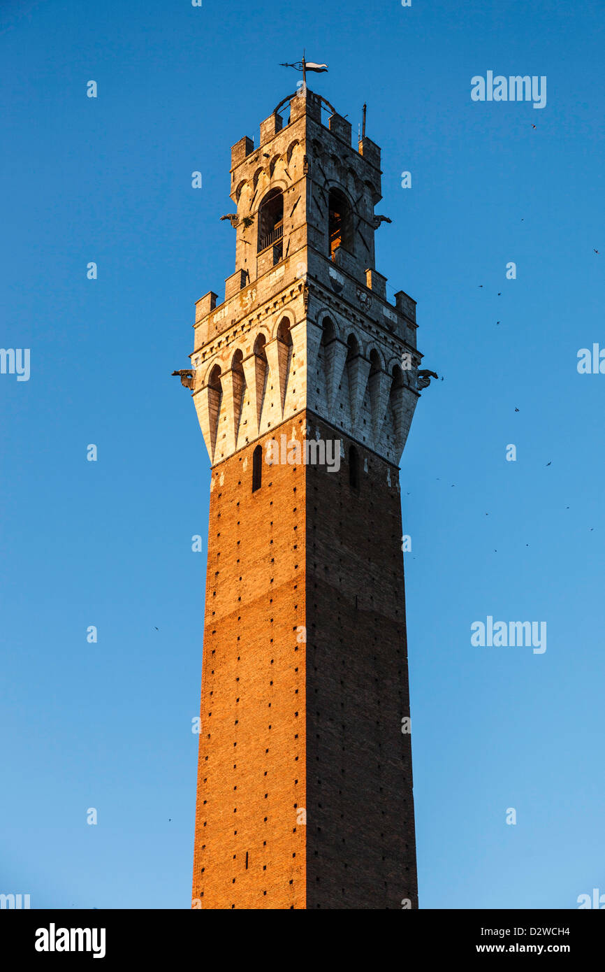 Torre del Mangia und der Palazzo Publico, Siena, Toskana, Italien Stockfoto