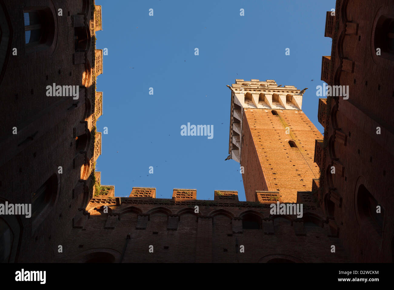 Torre del Mangia und der Palazzo Publico, Siena, Toskana, Italien Stockfoto