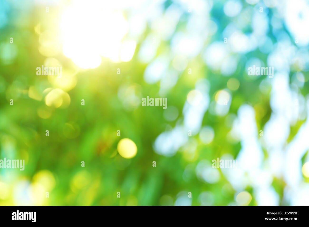 Hintergrund unscharf der Natur im Frühling. Stockfoto