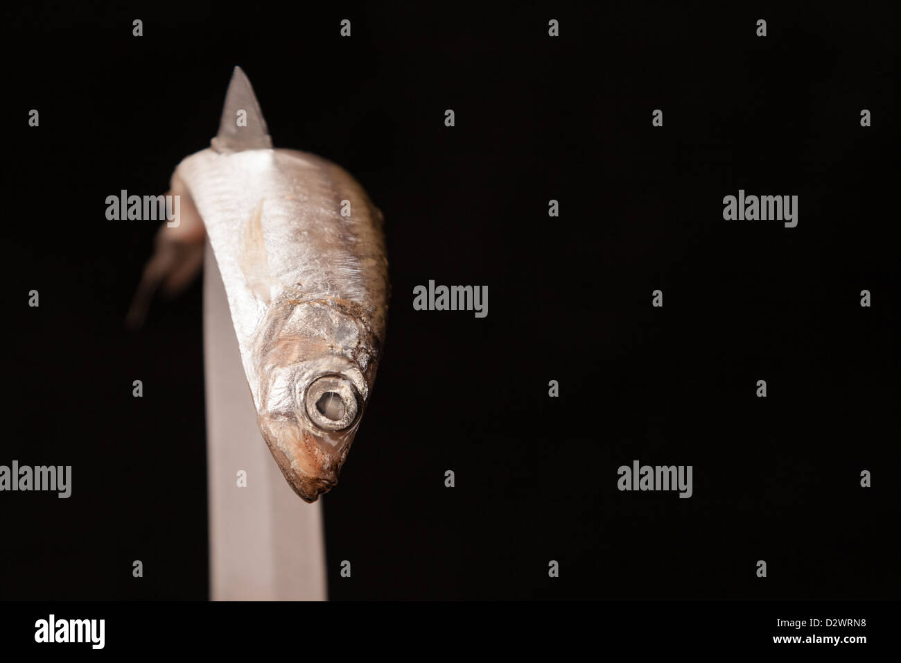 Tote Fische verzerrte auf Messer Stockfoto