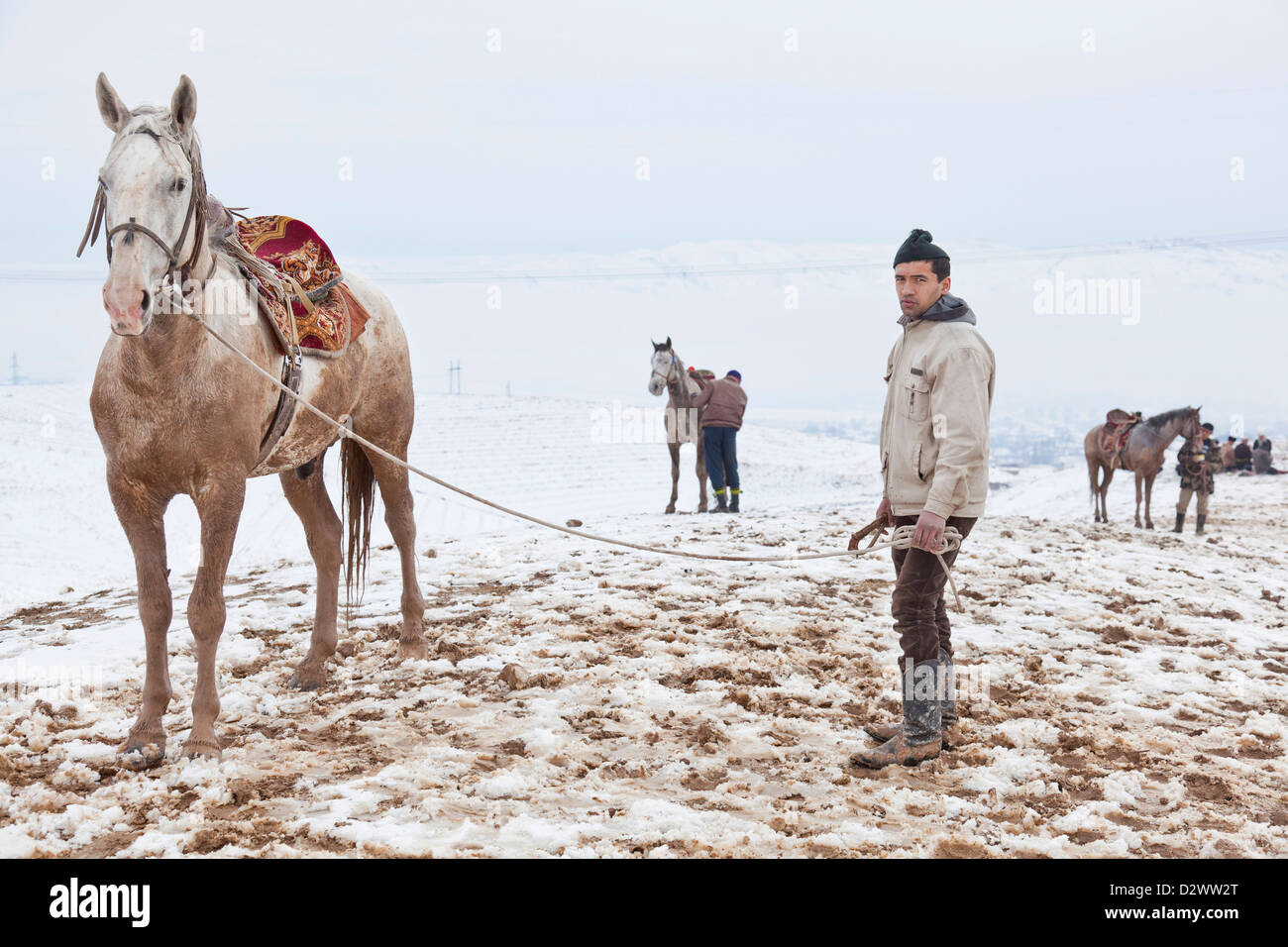 Buzkashi Spieler entspannt sein Pferd zwischen Buzkashi Runden in Nojibolo, Tadschikistan. Stockfoto