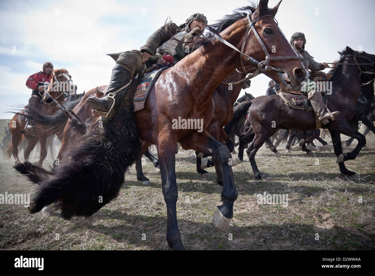 Buzkashi Pferde und Reiter bei einem Nevruz Gedenk Match in den Bergen in der Nähe von Dushanbe. Stockfoto