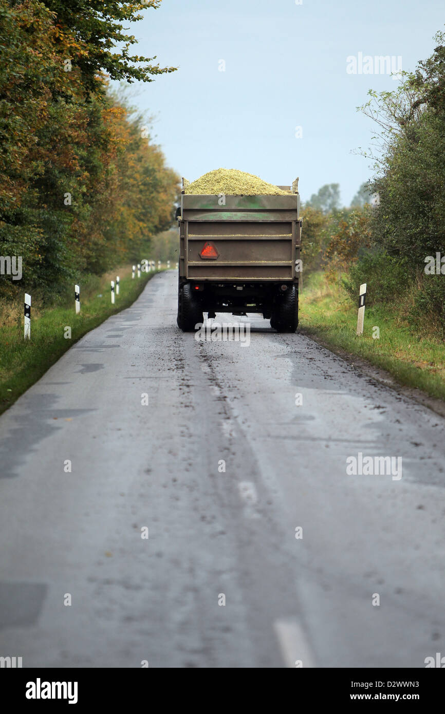 Großen Wiehe, Deutschland, ein beladen mit Mais Mähdrescher auf einer Landstraße Stockfoto