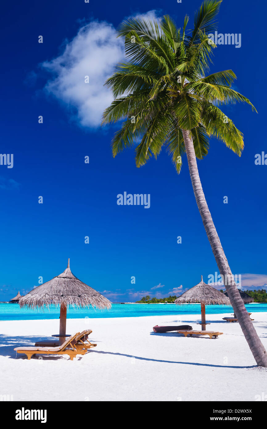 Liegestühle unter Umrellas und Palmen Bäume auf den Malediven Stockfoto