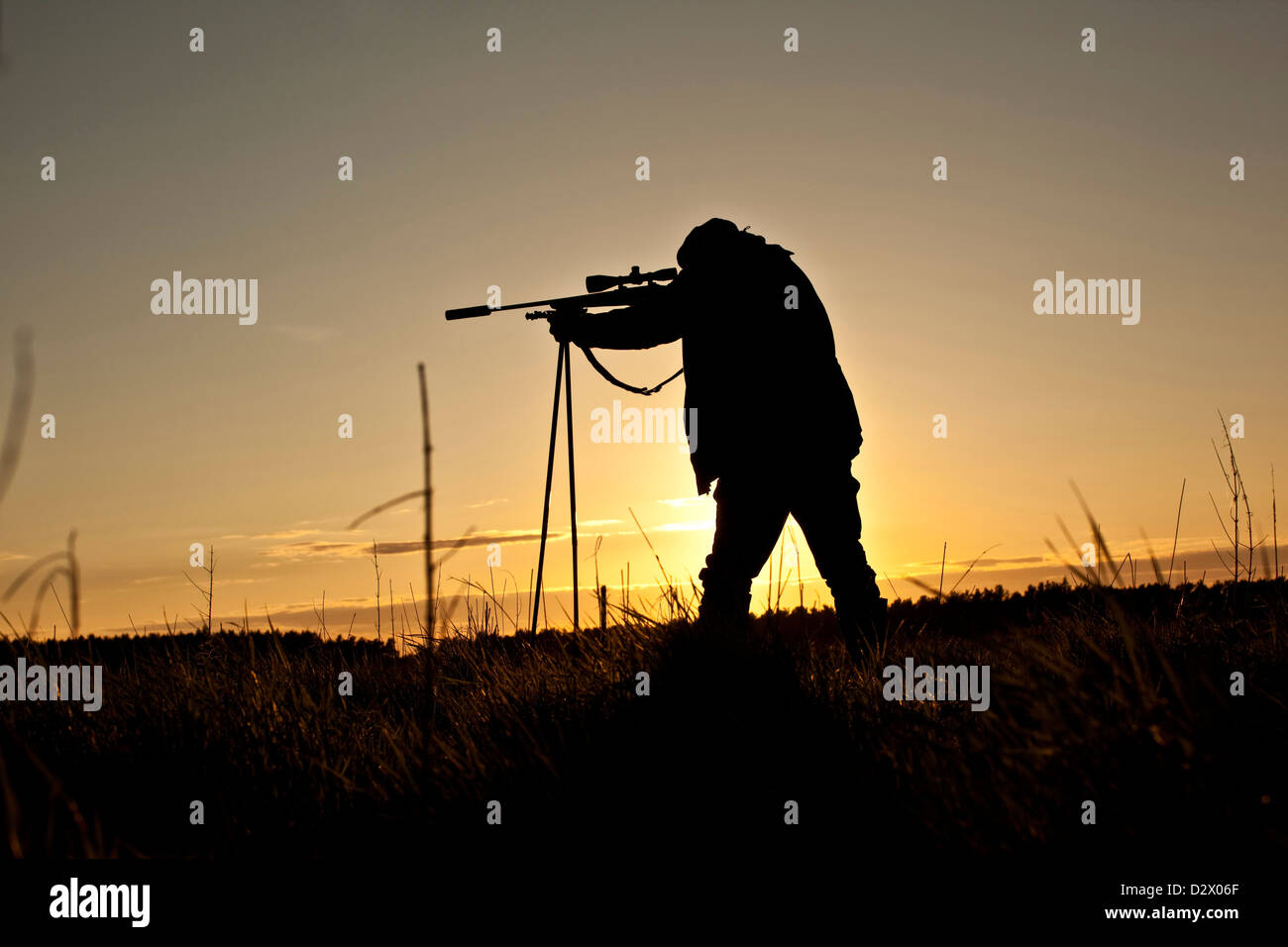 Jäger mit dem Ziel, Gewehr, Hintergrundbeleuchtung, Thetford Forest, UK Stockfoto