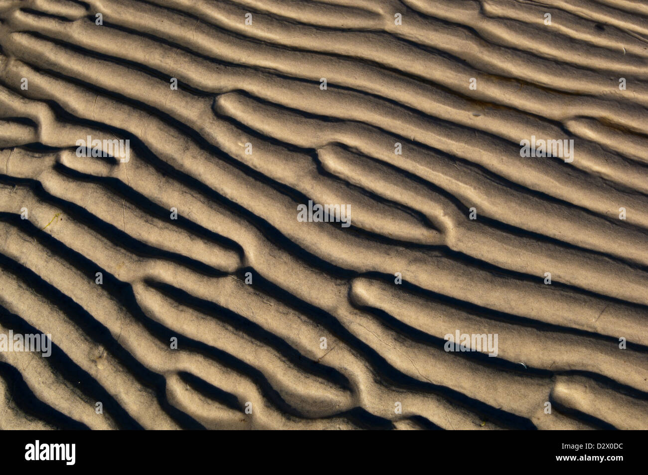 Gezeiten-Muster an einem Sandstrand in der Chesapeake Bay Stockfoto