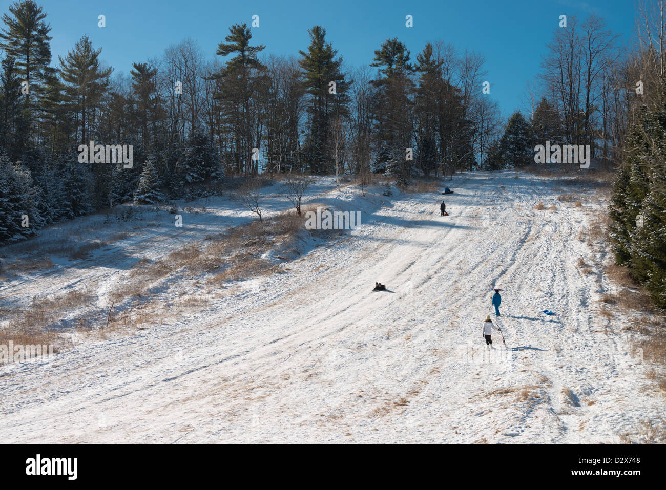 Rodelbahn in Rouge Valley Park, Toronto, Kanada. Stockfoto