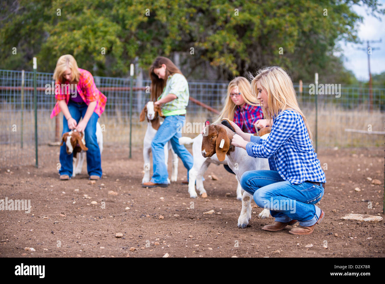 Gruppe von Kindern kümmert sich um Nutztiere auf dem Bauernhof Stockfoto