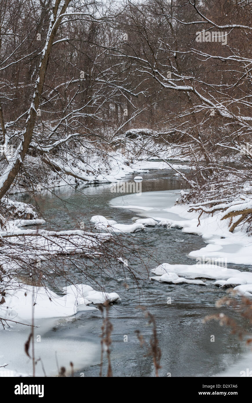 Blick vom Rouge Valley Park, Toronto, Kanada Stockfoto