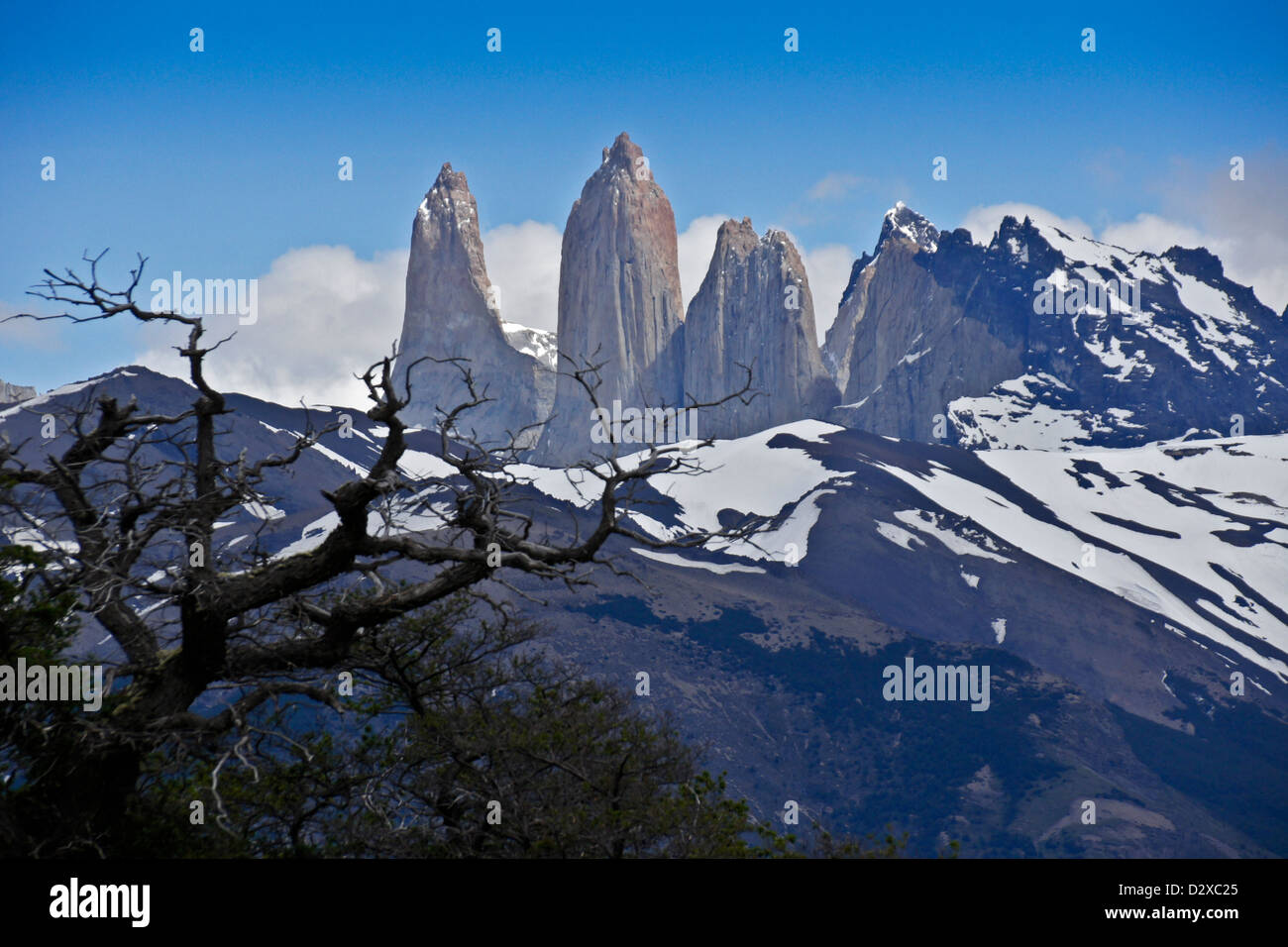 Los Torres (die Türme), Torres del Paine Nationalpark, Patagonien, Chile Stockfoto