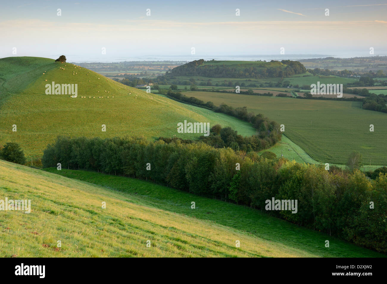 Cadbury Castle und Parrock Hügel an einem klaren Morgen in Somerset, Großbritannien. Stockfoto