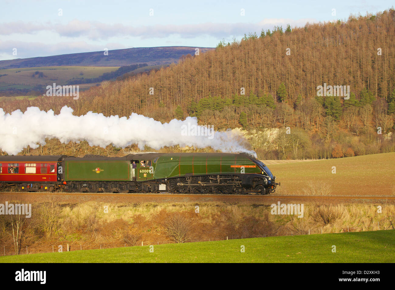 LNER Class A4 4488 Union of South Africa, Dampfzug in der Nähe von Low Baron Holz Bauernhof Armathwaite Eden Valley, Cumbria, England, UK Stockfoto