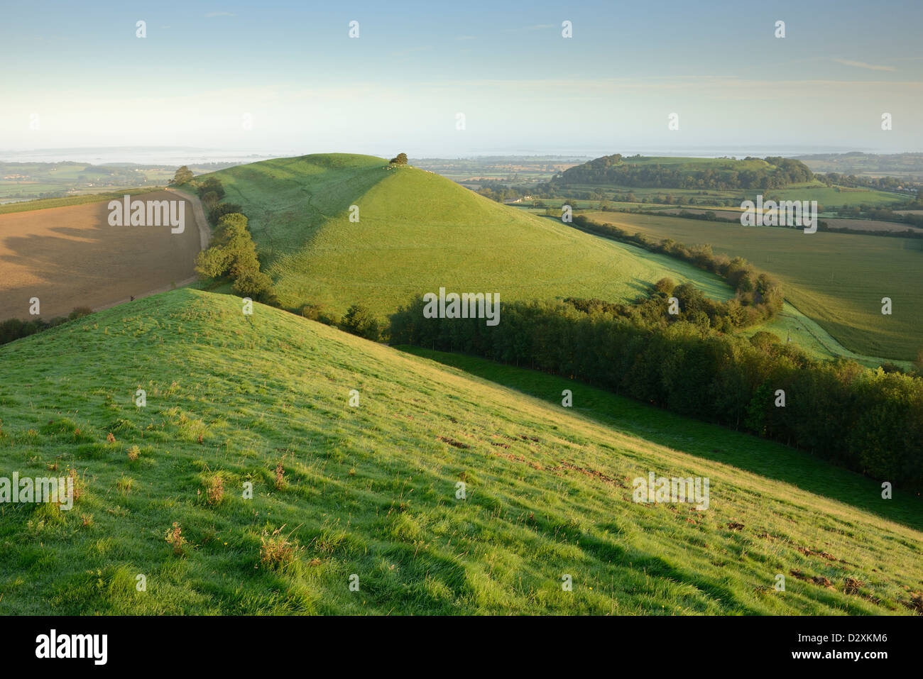 Cadbury Castle und Parrock Hügel an einem klaren Morgen in Somerset, Großbritannien. Stockfoto